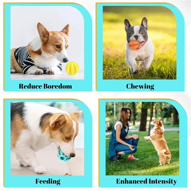 Silicone Toys For Dogs